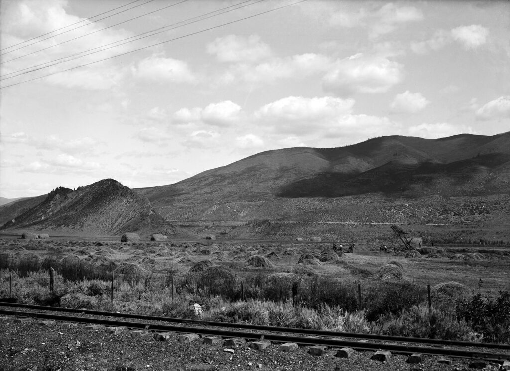 One glass-plate negative of the Midland Ranch from the Colorado Midland Railroad tracks west of Castle Creek. Left center is Red Butte, and to the right is Red Mountain. Utility wires run across the upper left hand corner of the photo. There are men in the field with a machine working the hay.